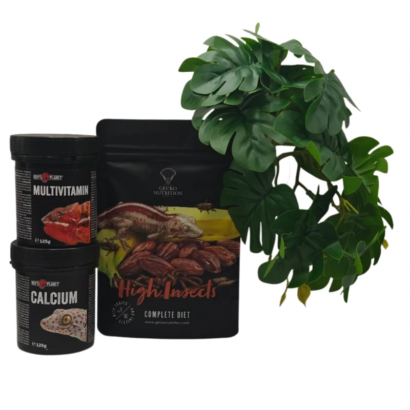 zestaw-podstawowy-dla-gekona-papka-suplementy-monstera.webp