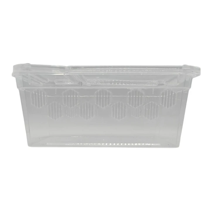 box-dla-gadow-transporter-gekonowa-pasja.webp