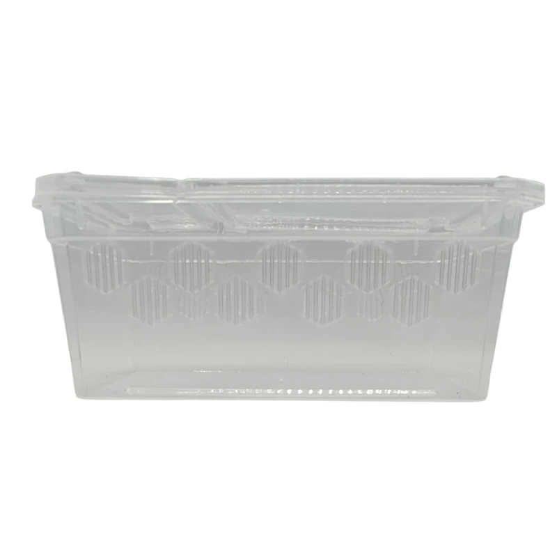 box-dla-gadow-transporter-gekonowa-pasja.webp