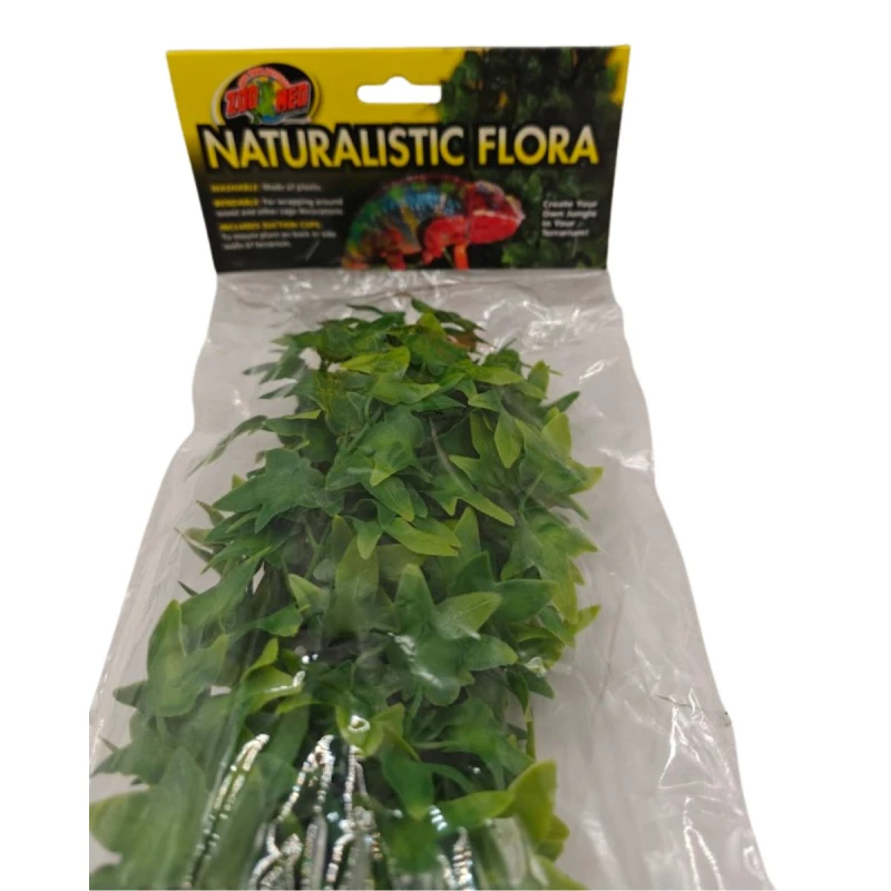 congo-ivy-zoomed.jpg