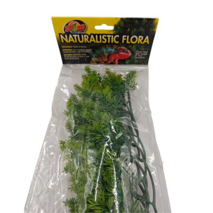 malaysian-fern-zoomed.jpg