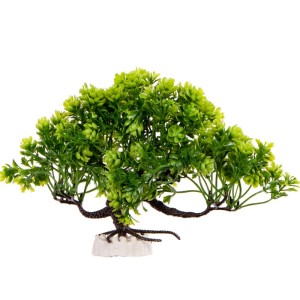 kruger-meier-plant-zen-bonsai.jpg