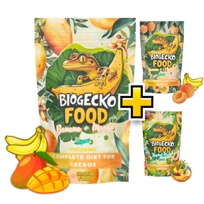 13.png