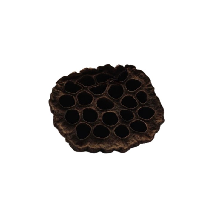 biolotus-susz-lotosu-do-terrarium-gekonowa-pasja.jpg