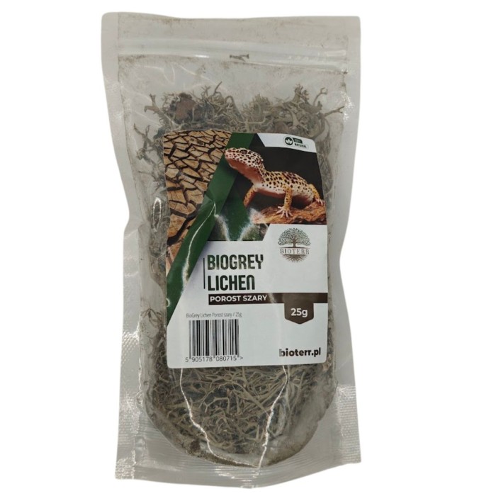 porost-szary-dekoracja-do-terrarium.jpg