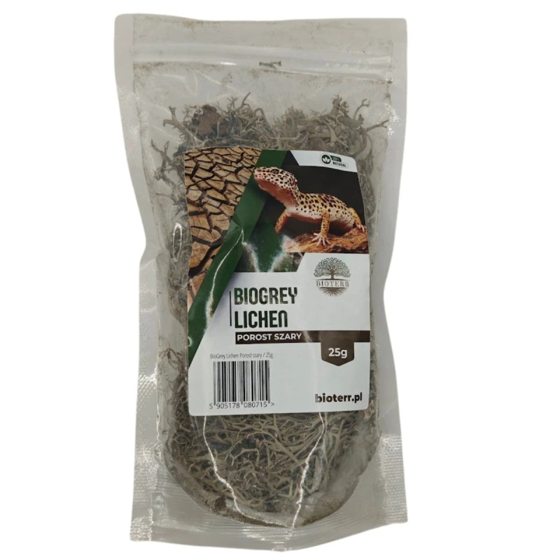 porost-szary-dekoracja-do-terrarium.jpg