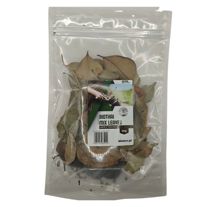 mix-lisci-do-terrarium.jpg