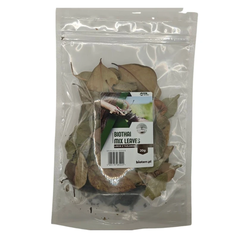 mix-lisci-do-terrarium.jpg