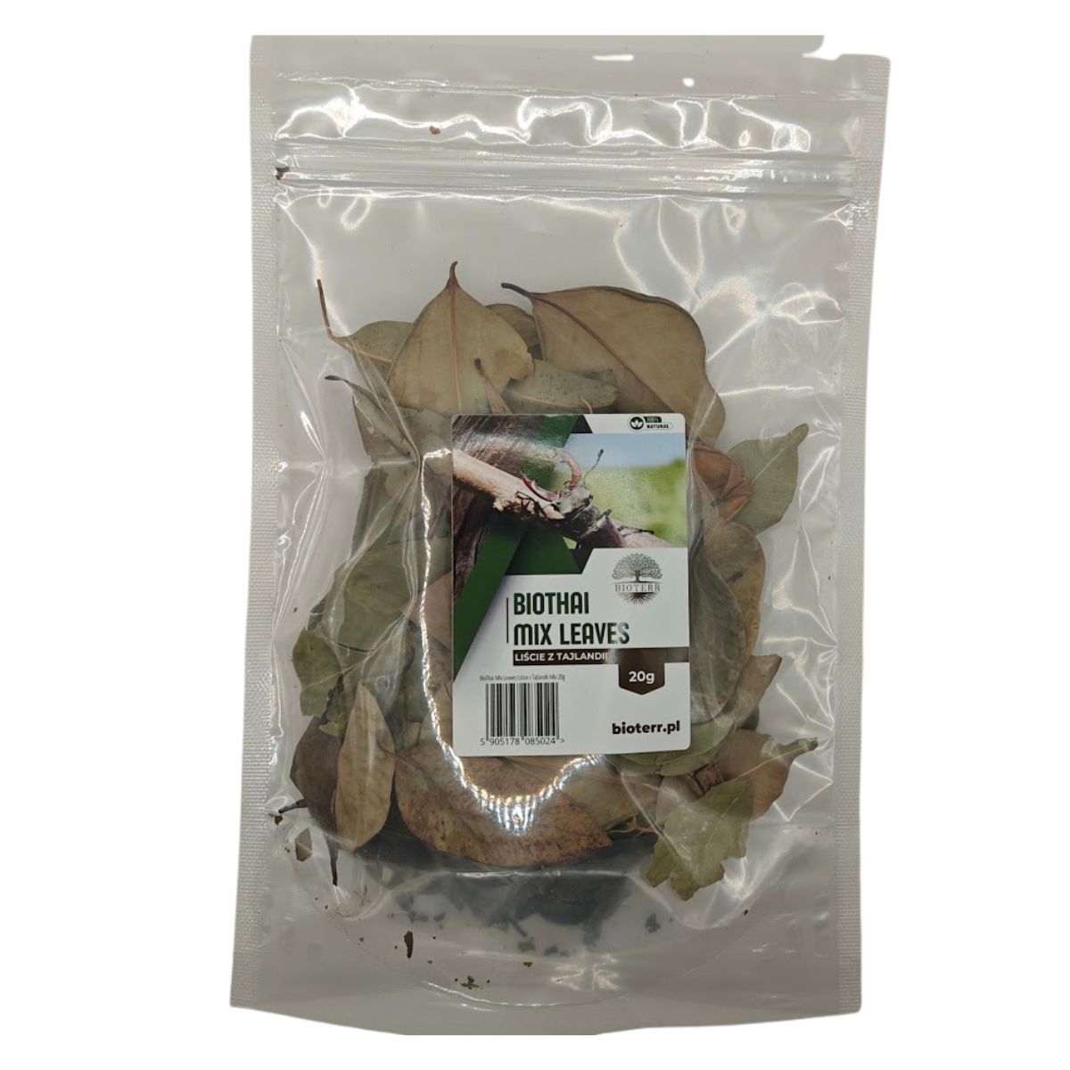 mix-lisci-do-terrarium.jpg