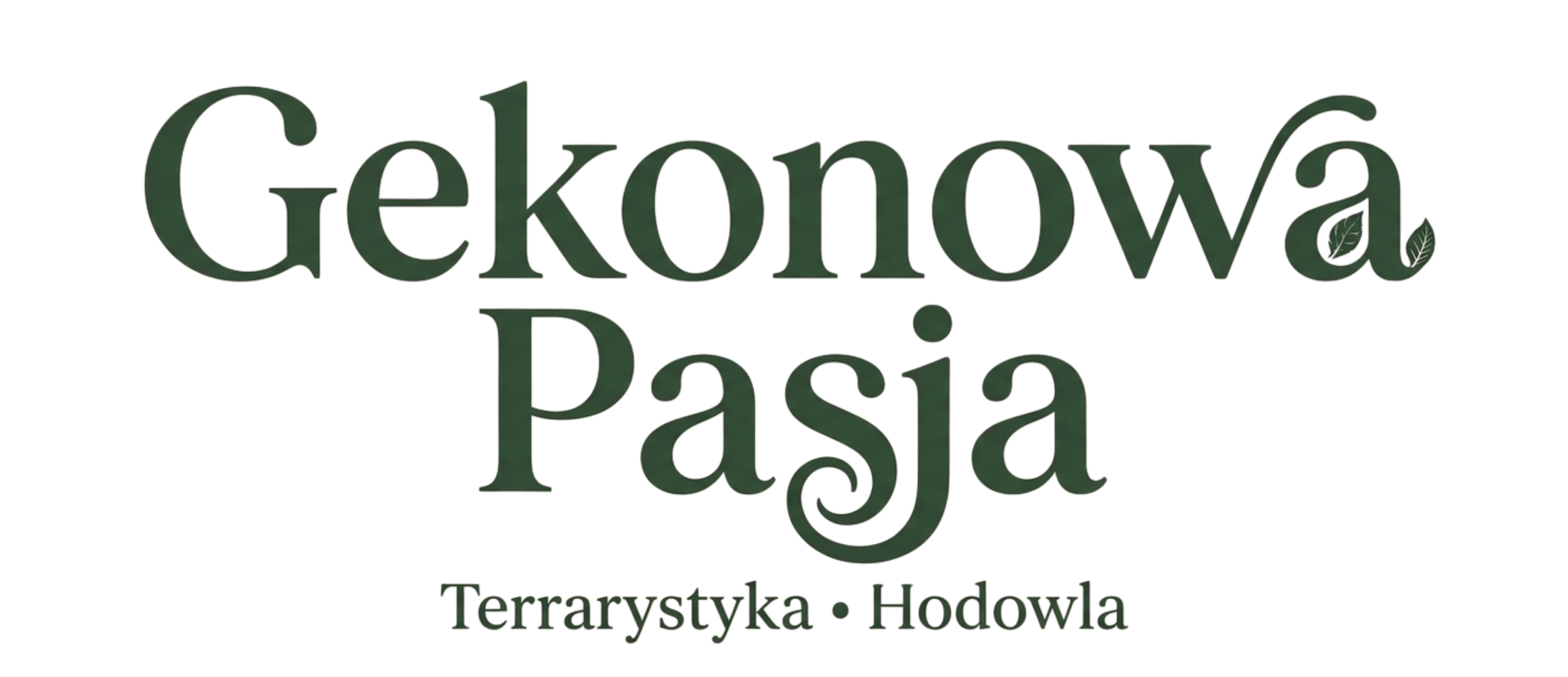 Producent: Gekonowa Pasja Marta Kordas (przejdź do strony: http://www.gekonowapasja.sklep.pl)